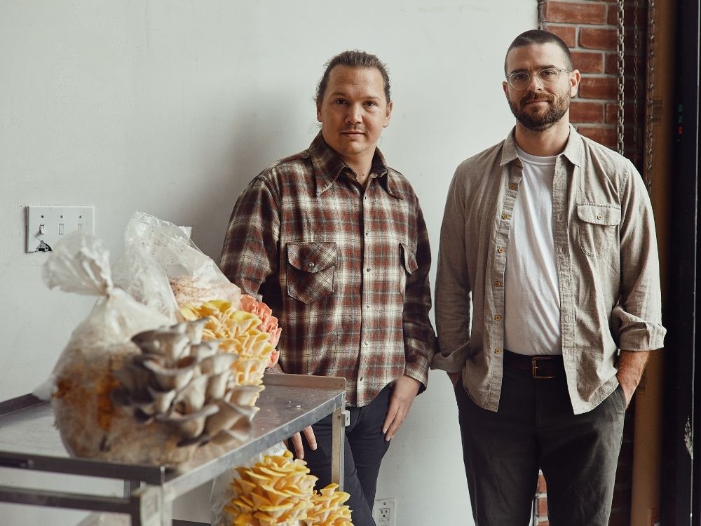 Two men stand beside a metal shelf with colorful mushrooms. One wears a plaid shirt, the other a light shirt, conveying a casual and natural ambiance.