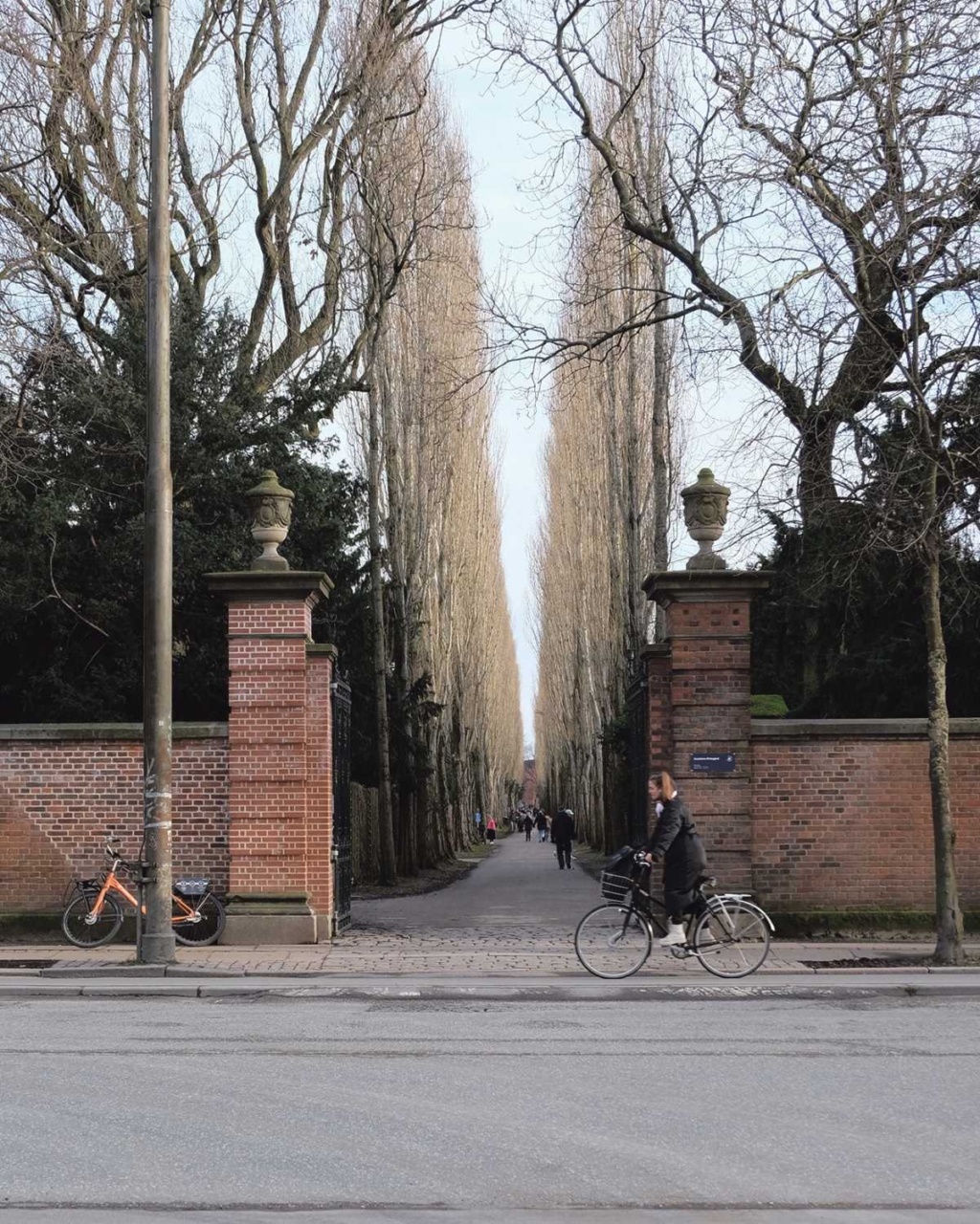 copenhagen through a writer’s eye