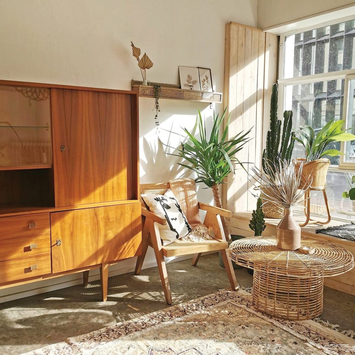 Sunlit interior featuring a wooden cabinet, rattan chair with a patterned cushion, plants, and a woven table on a patterned rug.