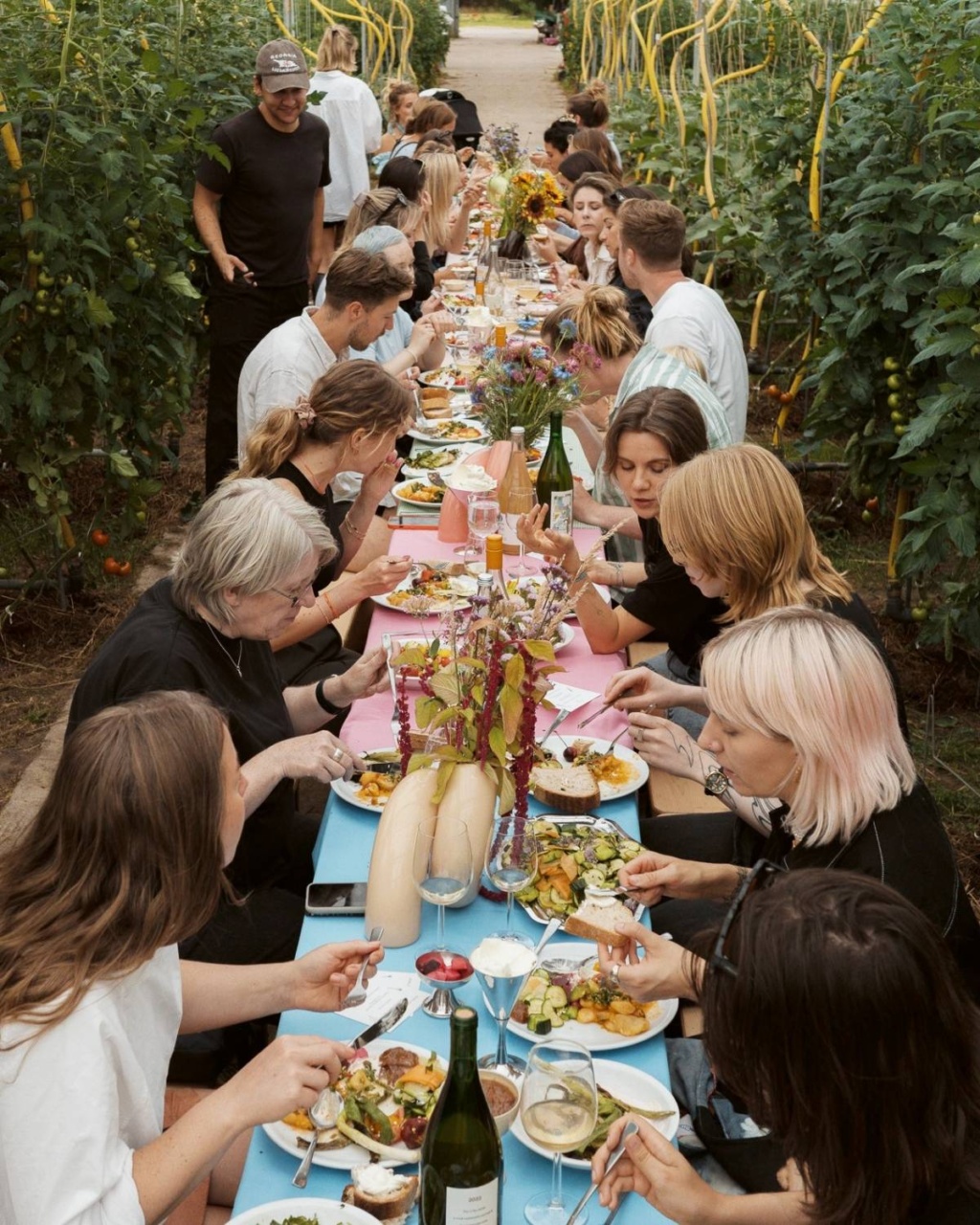 A group of people enjoy a communal meal at a long table in a lush greenhouse. The table is set with colorful plates and flowers.